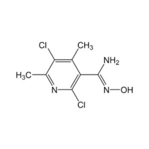 (Z)-2,5-Dichloro-N'-Hydroxy-4,6-Dimethylnicotinimidamide